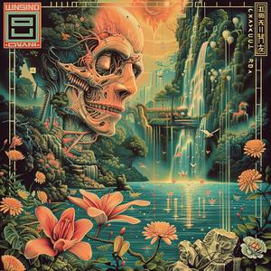 album  cover  chromolithography  artwork  person  design  music  colorful  graphics  illustration 1052334
