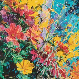album  cover  flowers  blue  background  creative  surreal  chaos  Risograph  Symbolist 1078104