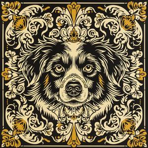 border  collie  black  gold  ornate  design  pattern  dog  art  stylized 1072180