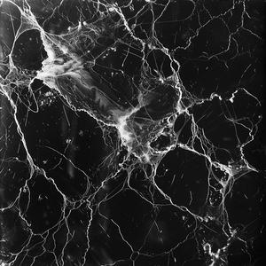 photograph  black  white  marble  surface  texture  reflectographic  negative  electrical  stimulation 1039174