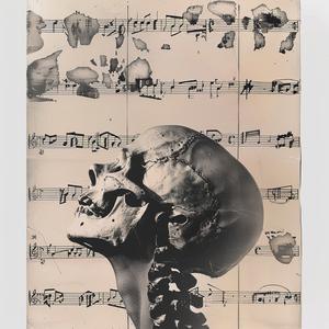 skull  music  notes  album  cover  graphic  dark  illustration  art  design 1063604