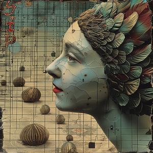 woman  feathers  head  bird  illustration  chromolithography  art  design  colorful  portrait 1041330