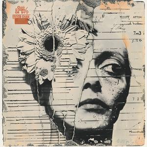 encaustic  Picasso  woman  flower  hair  portrait  1974  Cahun  art  abstract 1065255