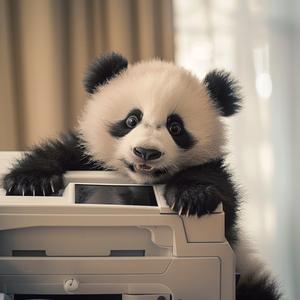 panda  photography  realistic  expressive  cute  xerox  printer  animal  humorous  whimsical 1049727
