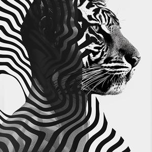 surrealism  hybrids  blackandwhite  animal  stripes  patterns  artwork  abstract  creativity  visualization 1039123