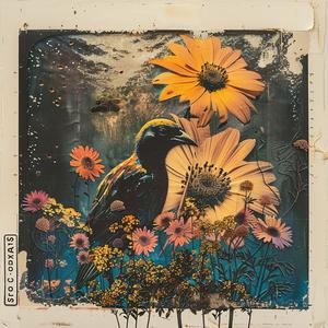 painting  bird  flowers  wall  chromolithography  nature  colorful  art  illustration  detailed 1061149