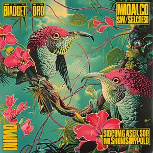 album  cover  chromolithography  art  design  music  graphic  visual  artwork  creative 1053110