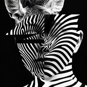 surrealism  hybrids  blackandwhite  zebra  deer  artwork  patterns  creative  expression  unique 1039122
