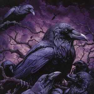 raven  album  cover  surreal  symbolist  screenprinting  hyper-realistic  branch  dark  art 1079077