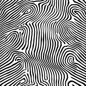 kinetic  lines  waves  pattern  black  white  stripe  design  abstract  art 1039097