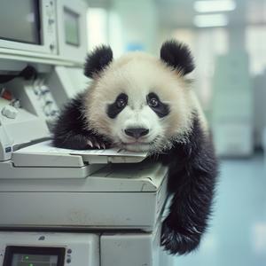 panda  photography  cute  printer  creativity  adorable  copy  expressive  animal  void 1049735