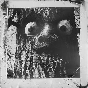 Polaroid  photography  terrifying  monster  eyes  tree  eerie  nostalgia  1970s  spooky 1074336