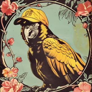 poster  parrot  hat  chromolithography  graphic  illustration  art  colorful  design  birds 1048370