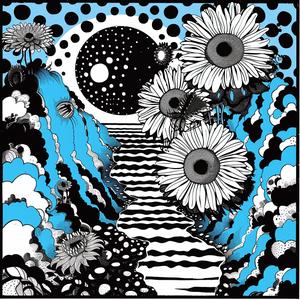 album  cover  Black  Keys  psychedelic  art  flowerpunk  surreal  symbolism  chaos 1078072