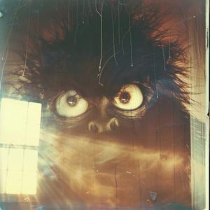 polaroid  monster  eyes  terrifying  photo  visual  horror  vintage  big  creature 1071628