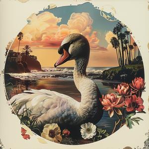 swan  album  art  print  chromolithography  elegant  nature  wildlife  decorative  design 1057021