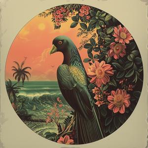 bird  sunset  rock  nature  colorful  silhouette  chromolithography  serene  outdoor  wildlife 1056929