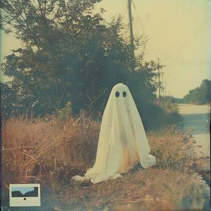 ghost  Polaroid  1974  field  haunting  eerie  photography  specter  figure  terrifying 1074450