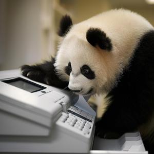 panda  creativity  photography  adorable  xerox  printer  cute  void  expressive  animal 1049730