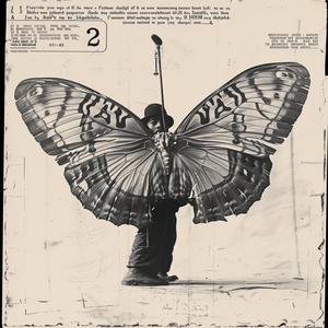 butterfly  man  sign  photography  nature  portrait  artistic  large  colorful  interaction 1063968