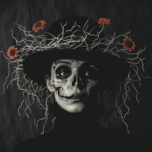 day  dead  woman  hat  flowers  celebration  colorful  portrait  cultural  symbolic 1063393