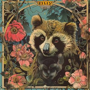 album  cover  raccoon  illustration  design  colorful  artwork  animal  stylistic  graphic 1053608
