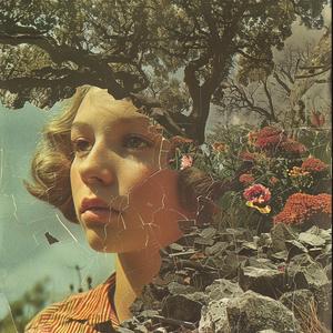 surrealist  collage  photo  montage  woman  broken  face  flowers  enigmatic  1970s 1041293