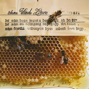 honeycomb  bees  tubes  Shaun  Tan  honey  nature  art  illustration  label 1066116