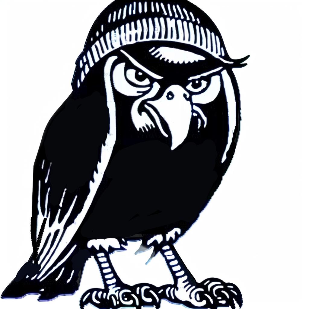owl  hat  black  white  drawing  minimal  streetwise  urban  illustration  aggressive 959329