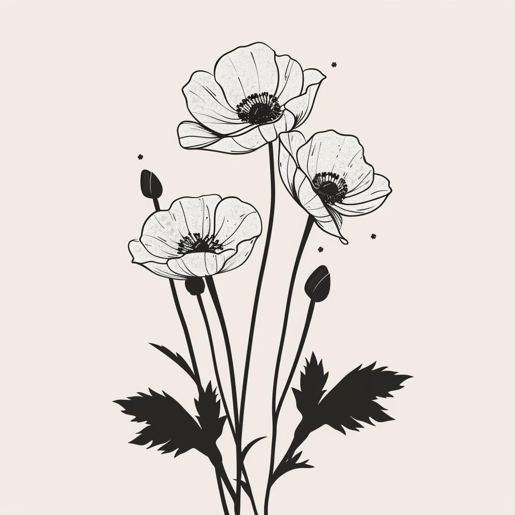 vector  illustration  minimal  boho  poppies  flowers  black  white  trendy  lineart 960066