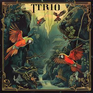 album  cover  birds  flying  illustration  music  design  artwork  whimsical  dynamic 1047655