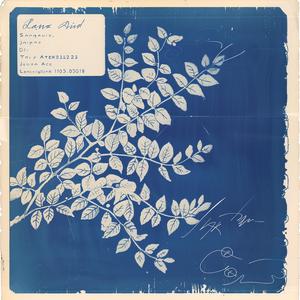 blue  white  drawing  plant  botanical  art  illustration  style  nature  design 1068185